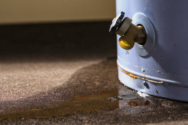 Best 24-hour water damage restoration  in Kemp, TX