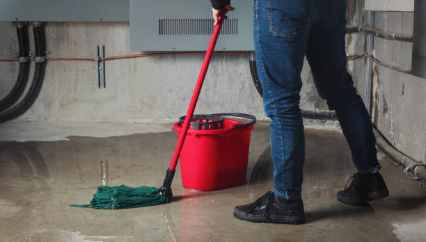 Best Residential water damage restoration  in Kemp, TX