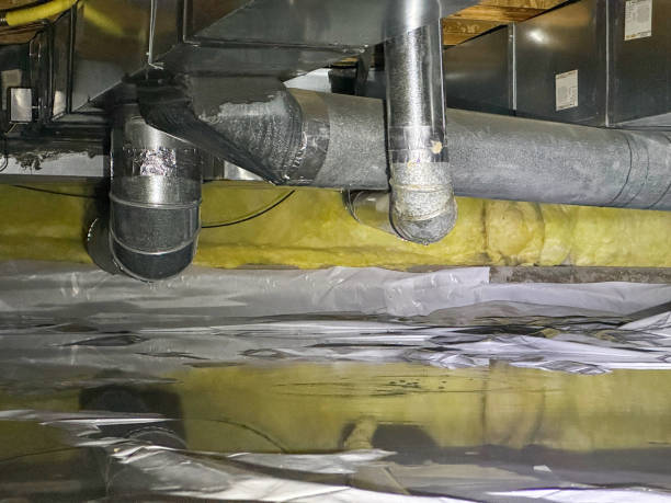 Best Water damage mitigation services  in Kemp, TX